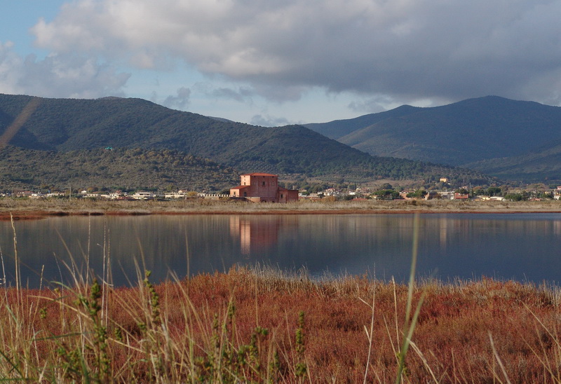 La Diaccia Botrona - Padule di Castiglione della Pescaia